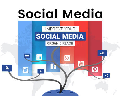 Social Media Marketing Company Services'