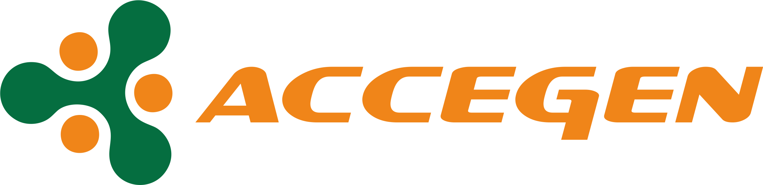 AcceGen Biotechnology Logo