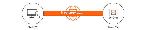 SSL VPN