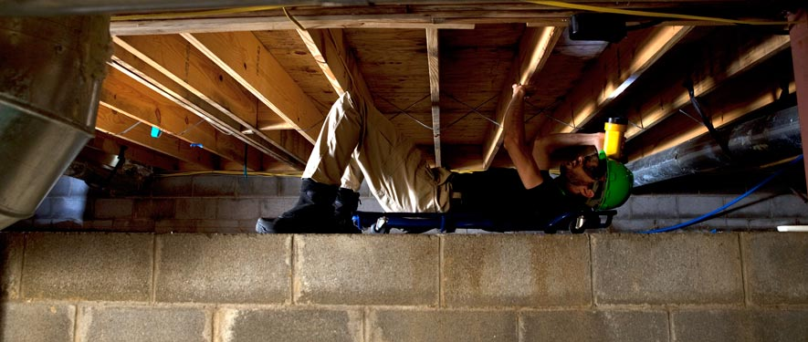 Storm Damage Restoration Bloomfield'