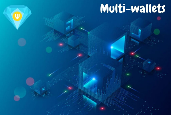 Multi Wallets