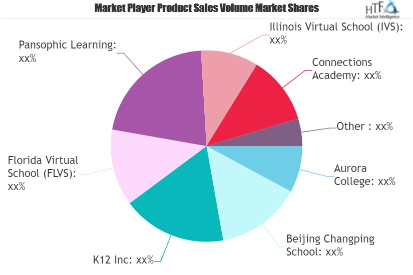 Virtual Schools Market
