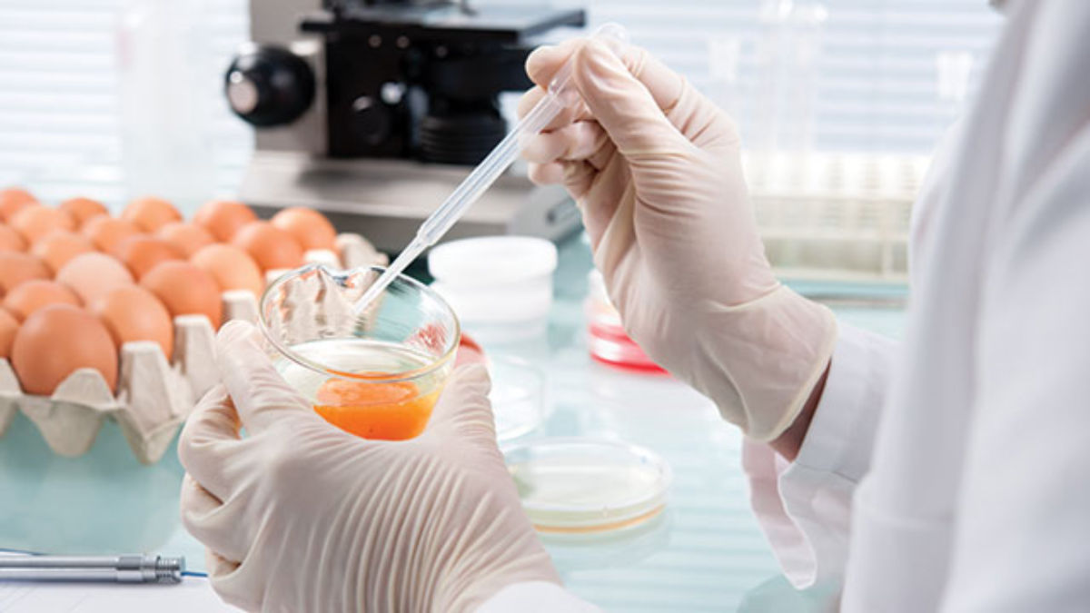 Food Testing Market