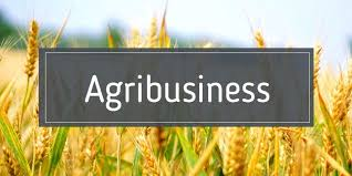 Agribusiness Market'