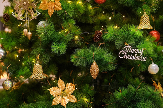 Best Christmas Promotion Up to 50% Off on Gshopper Till Dece