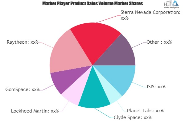 Microsatellite Market'