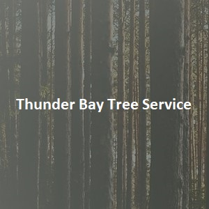 Company Logo For Thunder Bay Tree Service'