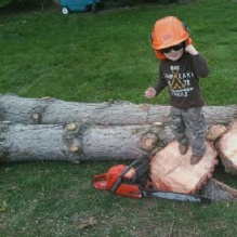 Company Logo For Tree Pros'