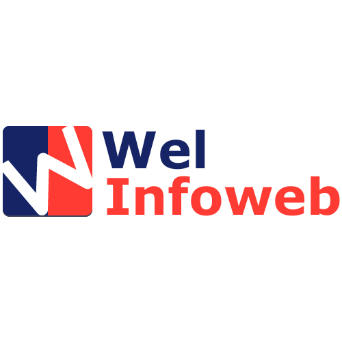 Wel Infoweb Pty Ltd Logo