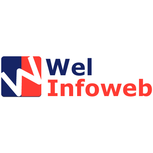 Company Logo For Wel Infoweb Pty Ltd'