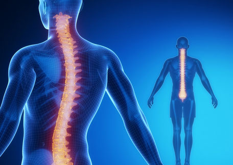 Chiropractor Bankstown'