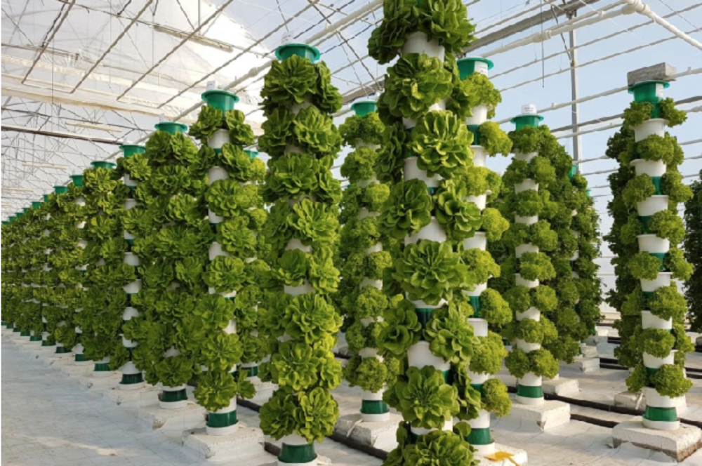 Vertical Farming Market'