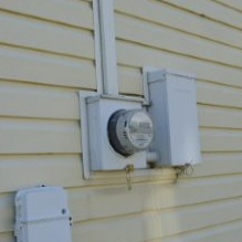 Termite Inspections'