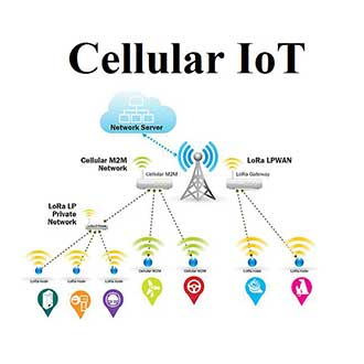 Cellular IoT