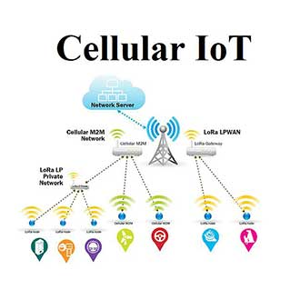 Cellular IoT'