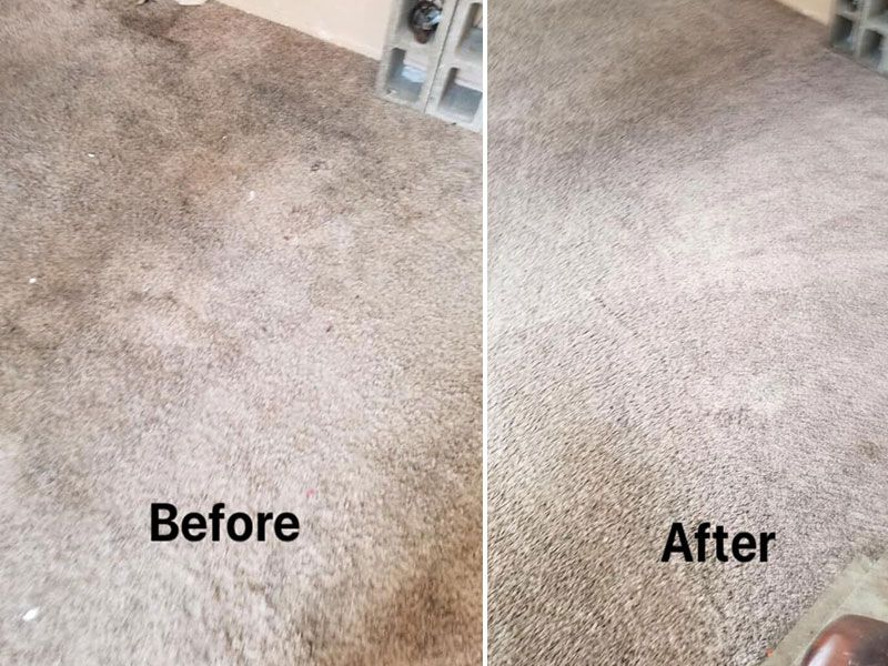 Company Logo For Best Carpet Cleaning Service'