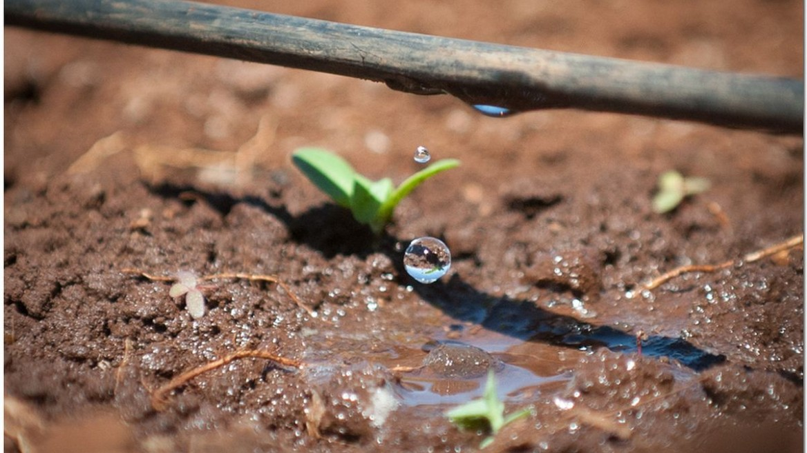 Micro Irrigation Market'