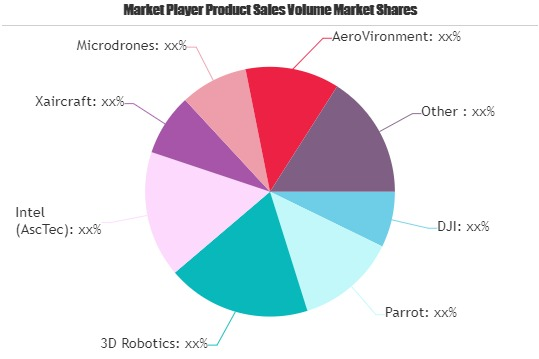 Smart Drone Services Market'