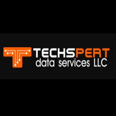 Company Logo For Techspert Data Solutions'