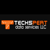 Techspert Data Solutions Logo