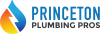 Company Logo For Princeton Plumbing Pros'