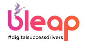 Company Logo For Bleap Digital Marketing'