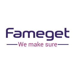 Company Logo For Fameget Consultants Pvt Ltd'