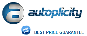 Autoplicity