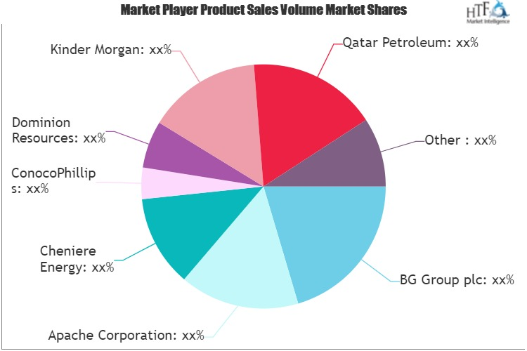 Natural Gas Market'