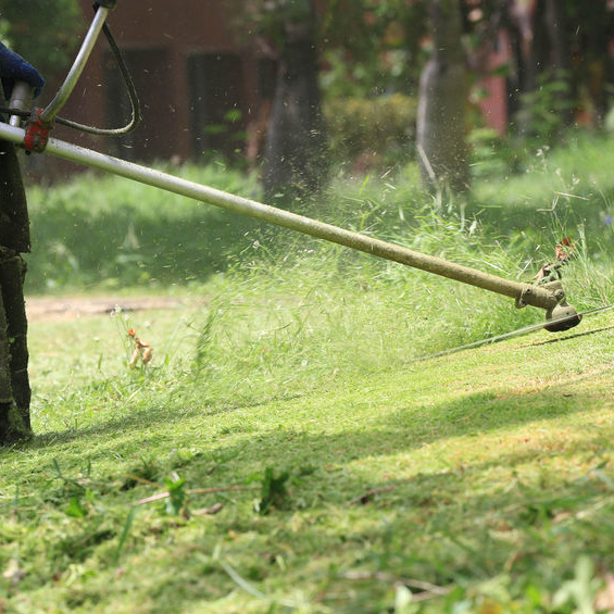Lawn Equipment'