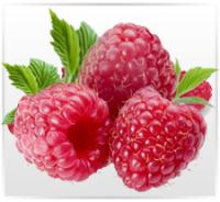 Raspberry Ketone Premium