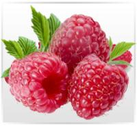 Company Logo For Raspberry Ketone Premium'