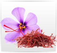 Company Logo For Saffron Premium'