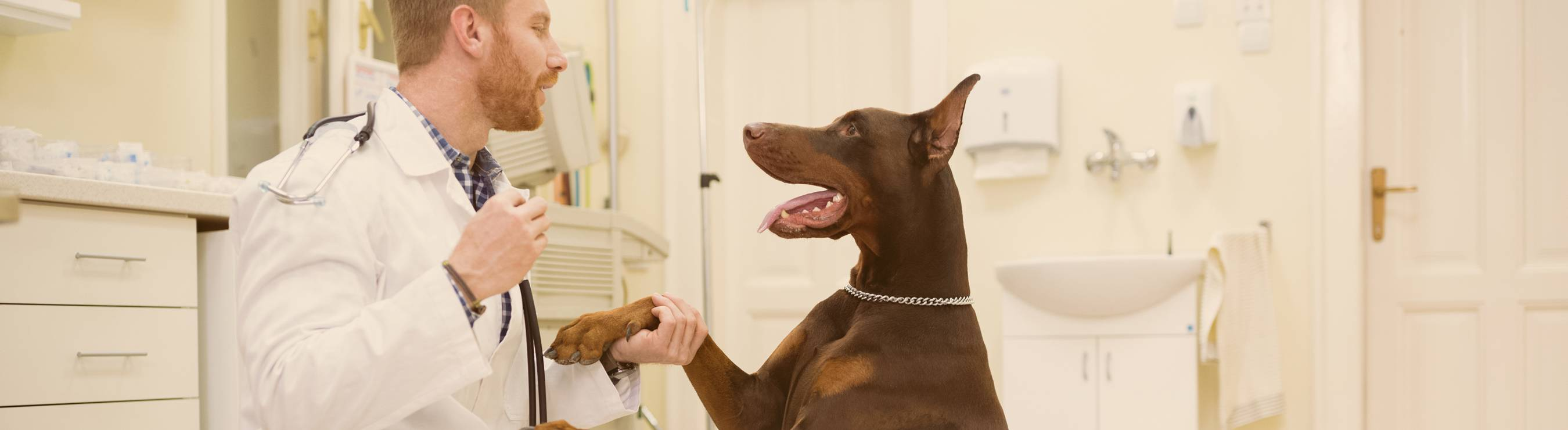 Veterinary Services Market'