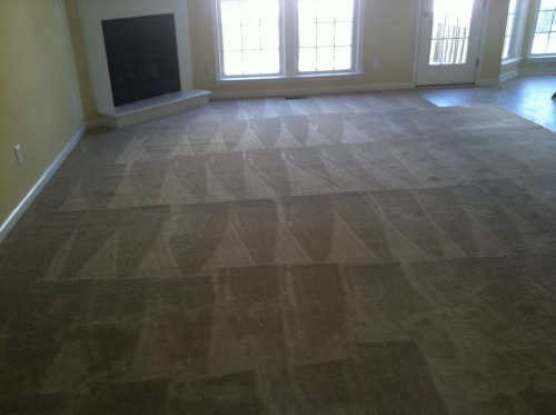 Raleigh Carpet Cleaning Preview'