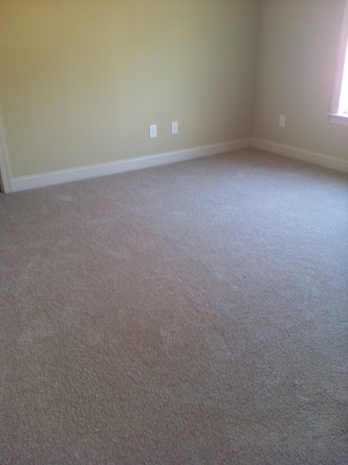Cary Carpet Cleaning After, Triangle Carpet Specialists'