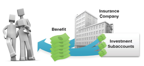 Variable Universal Life Insurance'