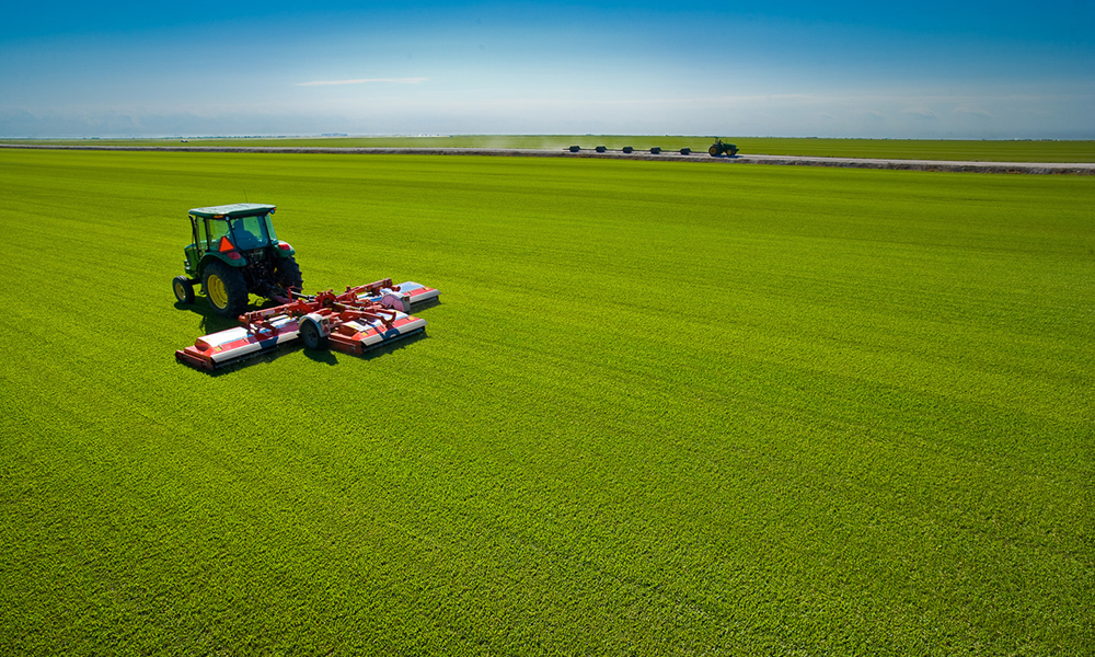 King Ranch Florida Turfgrass Logo