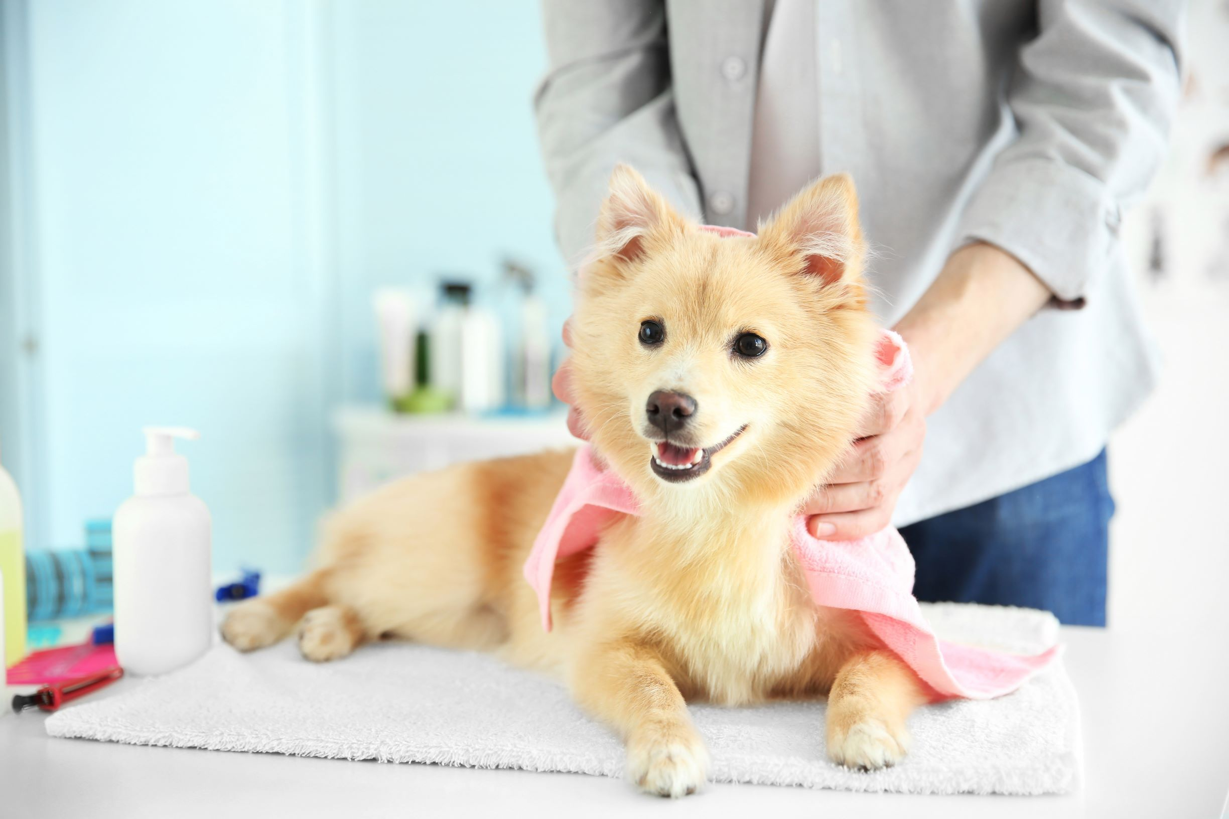 Muddy Paws Pet Salon'