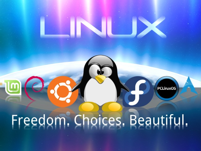 Linux'