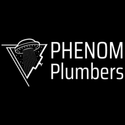 Company Logo For Phemon Plumbers'