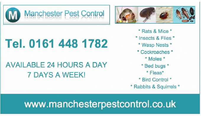 Company Logo For Manchester Pest Control Wasps &pound;35.00'