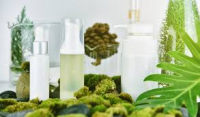 Organic Beauty Products Market to See Massive Growth by 2026
