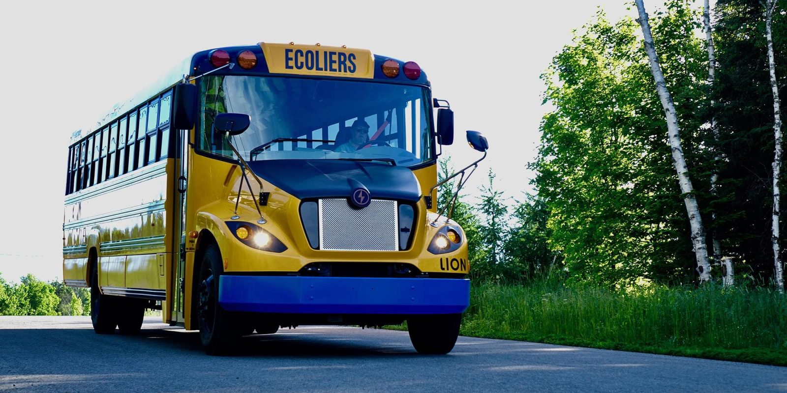 Electric School Bus Market'