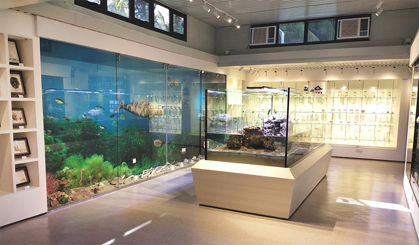 Forest City Celebrates its 5th Anniversary'