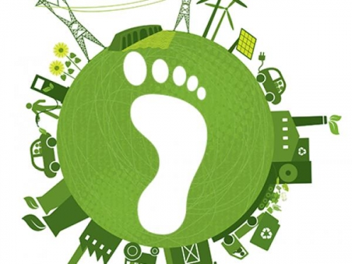 Carbon Footprint'