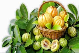 Where To Buy Garcinia Cambogia'
