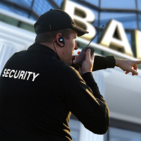 Maximum Security and Investigations Logo