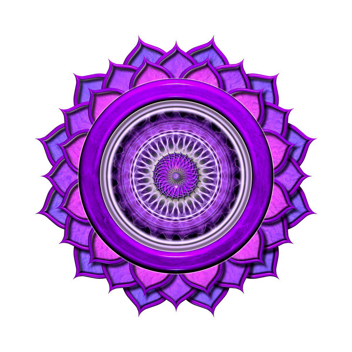 Company Logo For Yoga Nisarga - Yoga Teacher Training'