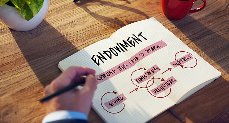 Endowment Insurance'